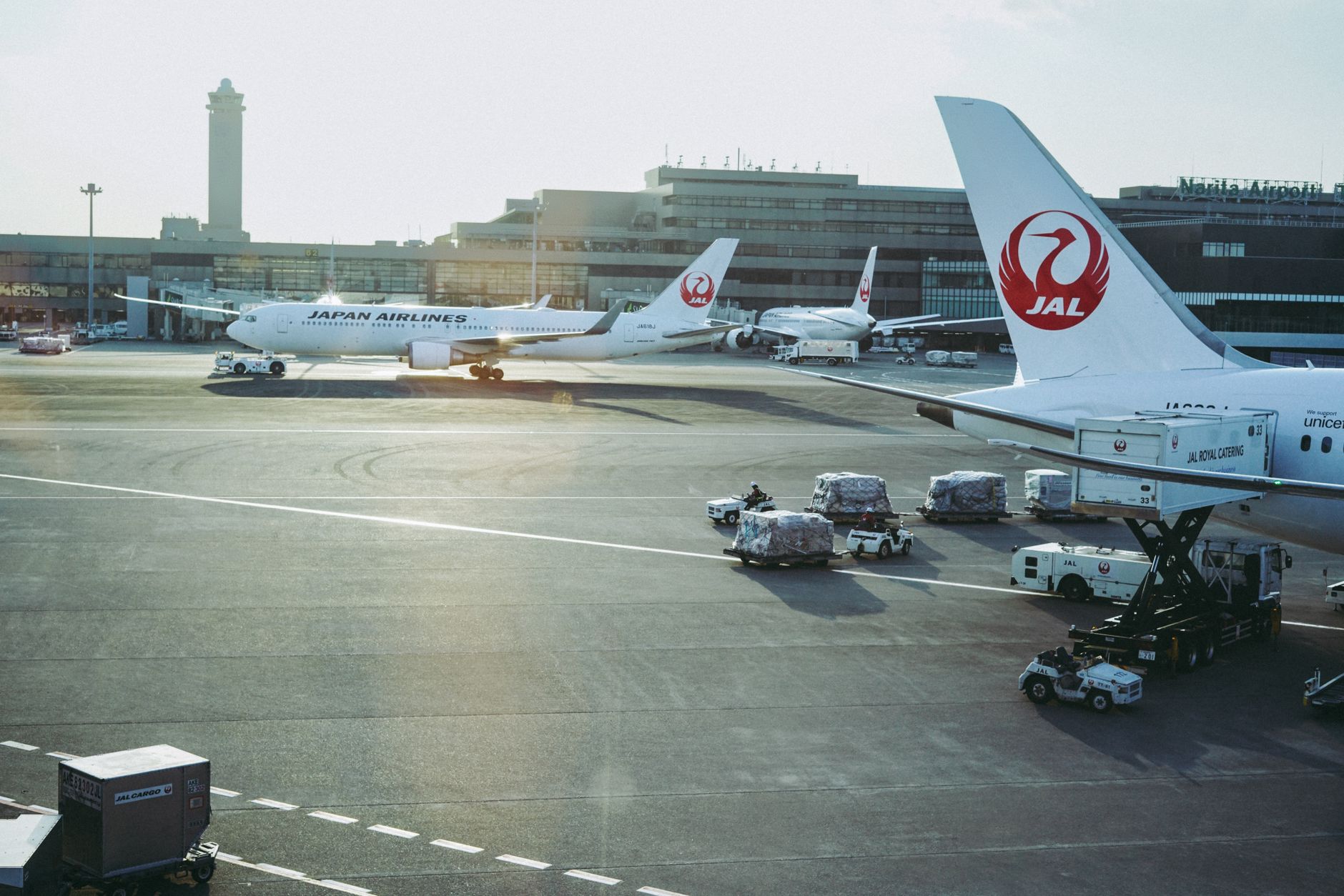 Emirates Flights to Narita: Best Travel Options for You