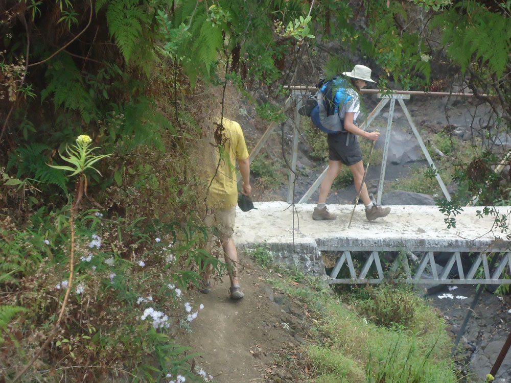 Mount Rinjani Senaru Trail Reopens: A Safe Adventure Awaits
